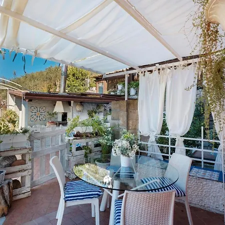 Maison Vico94